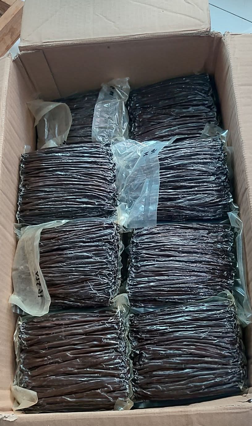 Pengemasan Vacuum Sealed Vanili